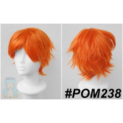 POM238