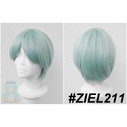 ZIEL211
