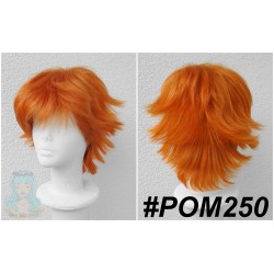 POM250