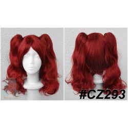 CZ293