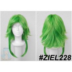 ZIEL228
