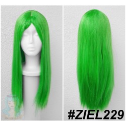 ZIEL229