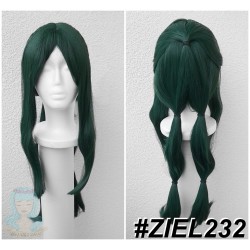 ZIEL232