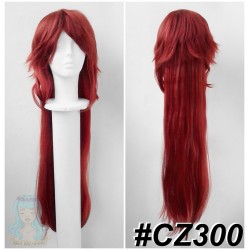 CZ300