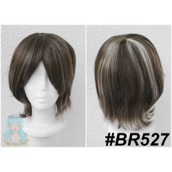 BR527